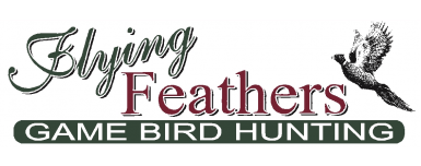 Flying Feathers LLC