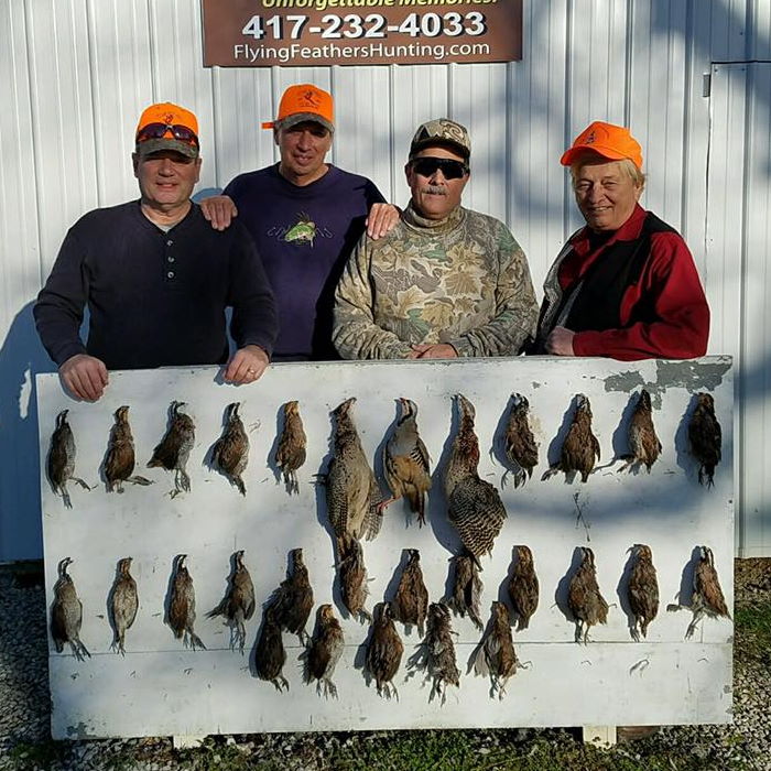 Guided Quail Hunting in Lockwood, MO